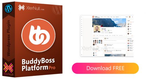 BuddyBoss Platform Pro v1.1.2.1 Plugin + Theme v1.6.7.2 [Nulled]