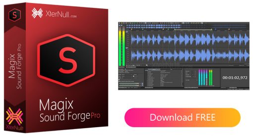 Magix Sound Forge Pro Suite 2020 + Portable