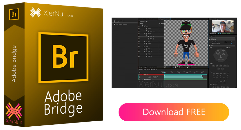 Adobe Bridge 2021 Windows/MacOS + Portable