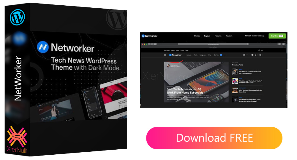 NetWorker v1.1.1 WordPress Theme [Nulled]