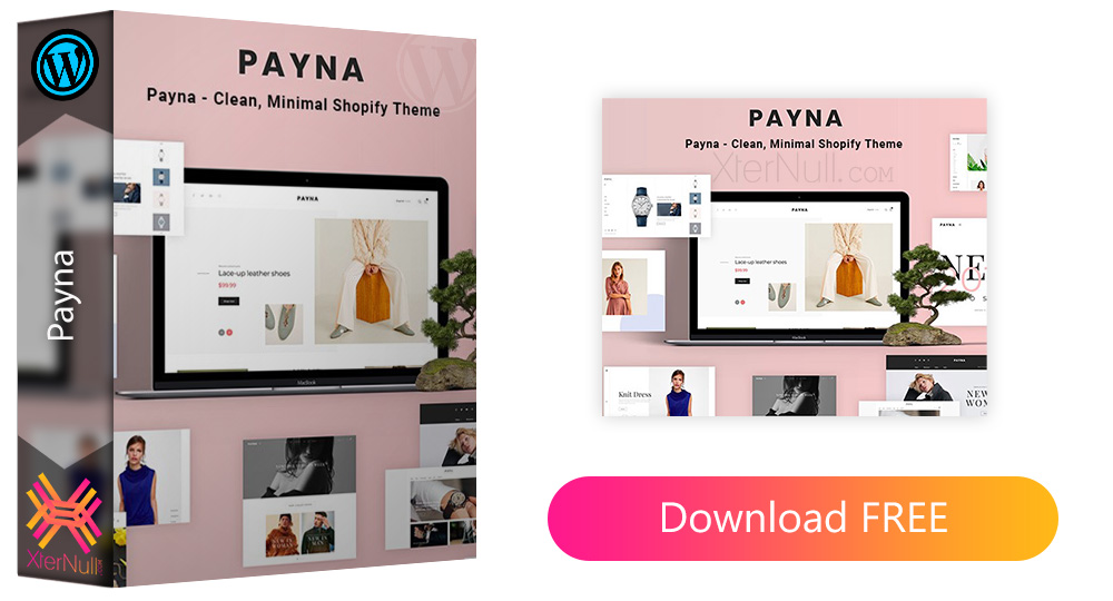 Payna v1.1.5 WordPress Theme [Nulled]